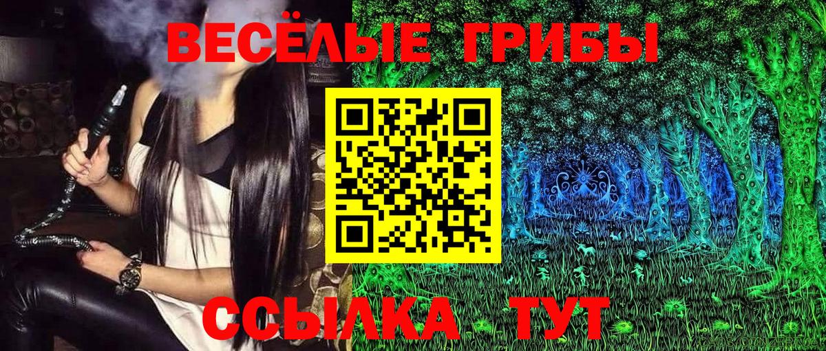 Псилоцибиновые грибы Cubensis  Вход с VPN  Верхняя Салда 