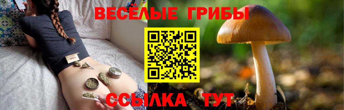 Галлюциногенные грибы ЛСД Верхняя Салда